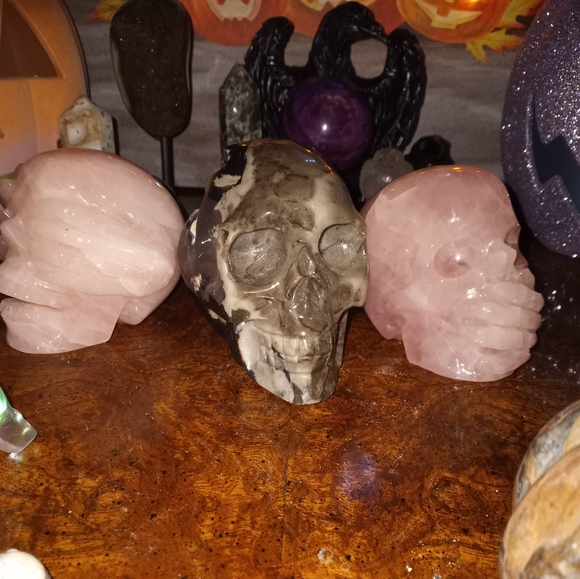 Contest - Picture 2 of 10